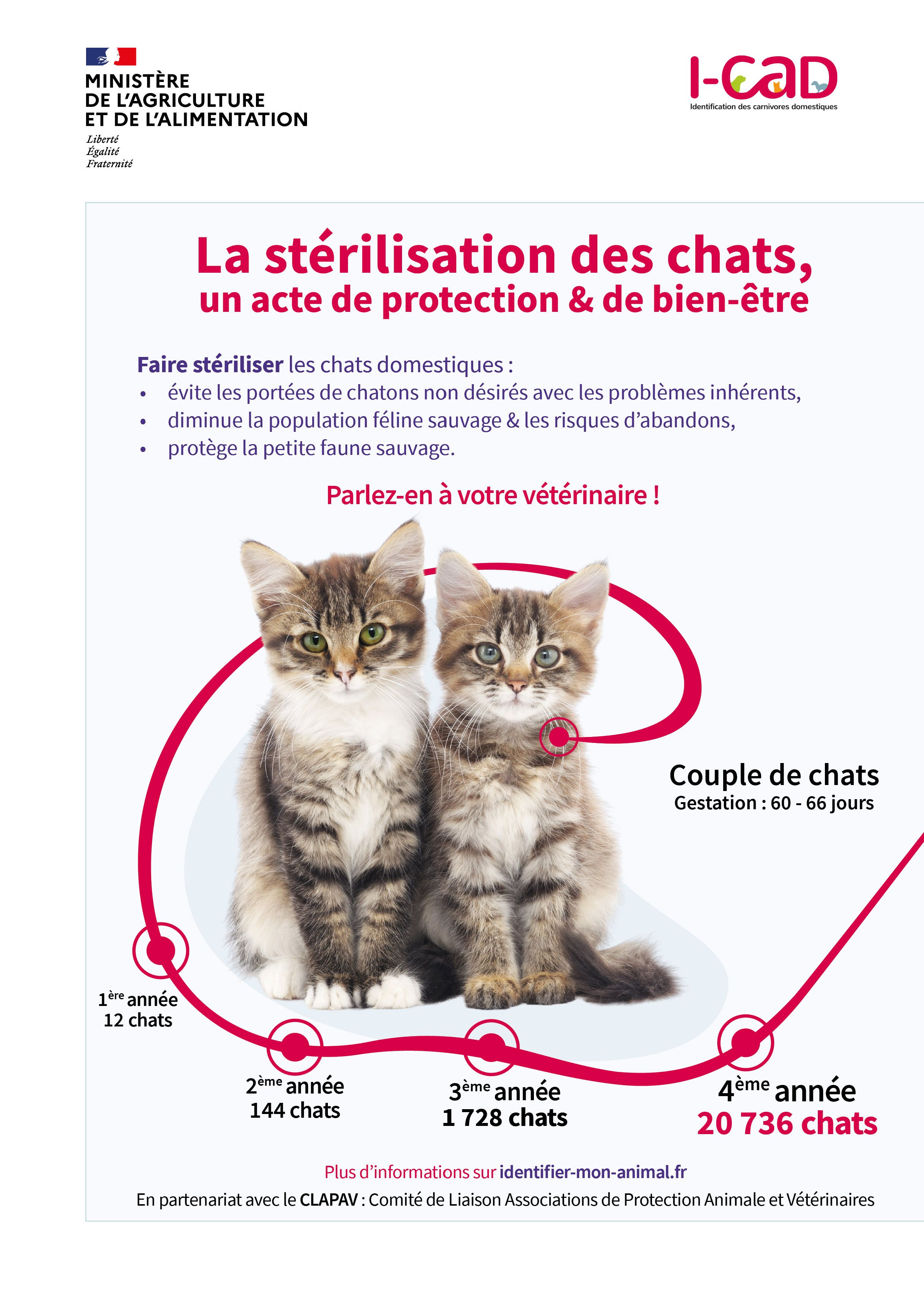 2022.Affiche.Sterilisation