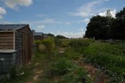 jardins-familiaux