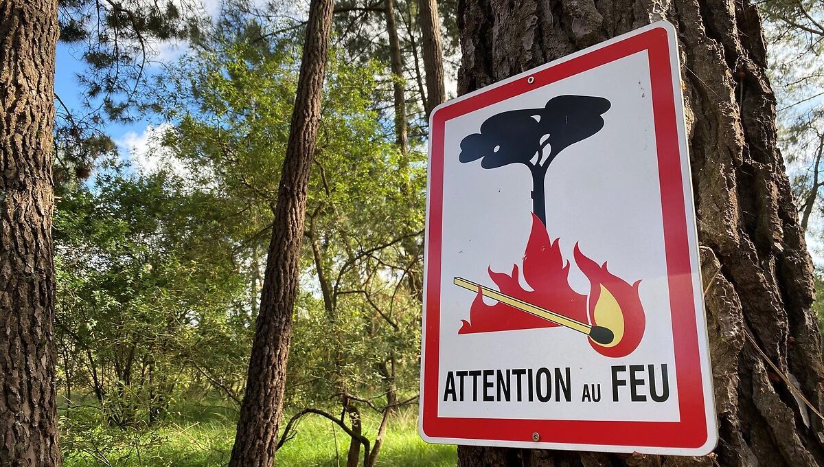 Feu interdit foret