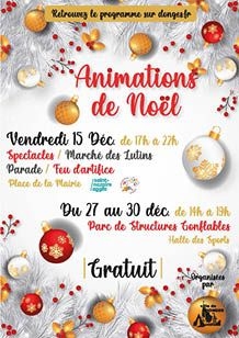 Aff_A3_Anim_Noël_2023_site